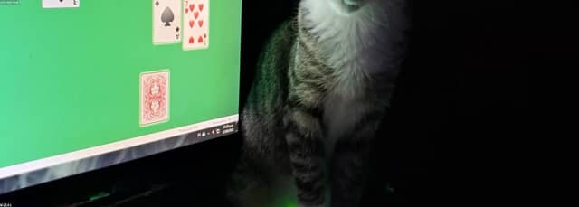 gClWOwuO